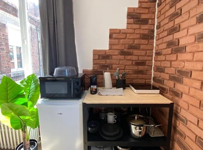 Lille Private Shower&netflix Roubaix